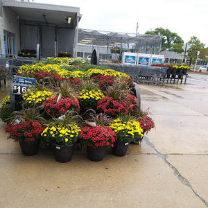 Meet your Posher, Cheri